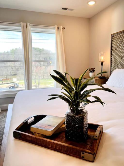 Riverside House Asheville Ngoại thất bức ảnh